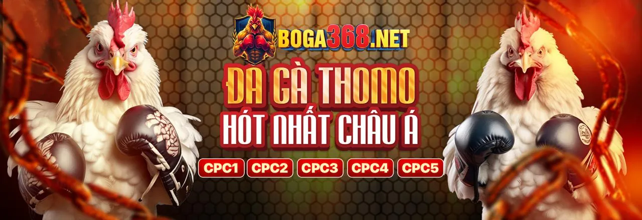 Đá gà trực tuyến ebet đăng nhập